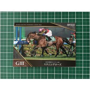 ☆EPOCH 2025 競馬 JRA ホースレーシング 2024 下半期総集編 #112