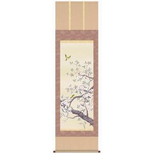 掛け軸 掛軸 桜に小禽(さくらにしょうきん) 堀 高泉 (真作・新品