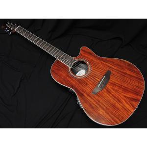 Ovation（オベーション） Ovation CE44P-FKOA-G Koa コア エレアコ