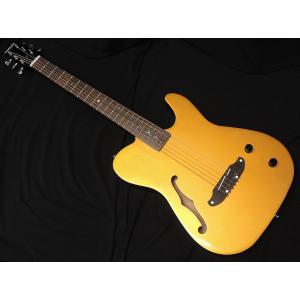 aNueNue BIRDGUITAR aNN-M52 Acoustic Guitar アコースティックギター