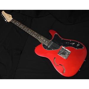 FUJIGEN（フジゲン） FGN FUJIGEN NTL10MAHT-WB Neo Classic SERIES