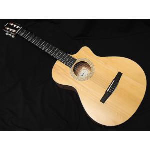 Taylor Taylor 112ce-S テイラー エレアコ エレクトリック
