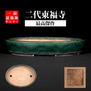 松下益久浮彫龍文撫角長方鉢 鉢 盆栽鉢 植木鉢 bonsaipot 常滑 とこ