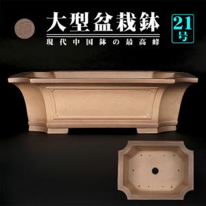 盆栽鉢 烏泥外縁隅切額面長方鉢 植木鉢 中国鉢 張氏製陶 落款あり 18号