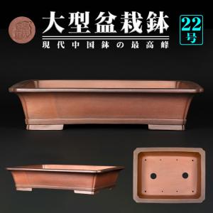 盆栽鉢 紫泥外縁胴紐楕円鉢 植木鉢 中国鉢 張氏製陶 落款あり 15号