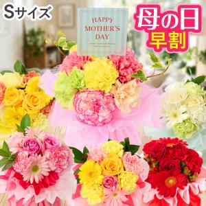 唐辛子 ハバネロ鉢植え 実付き 激辛とうがらし（トウガラシ） : クロス