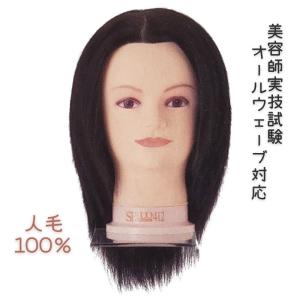 美容師 オールウェーブ マネキン 国家試験 ウィッグ 人毛100％ オール
