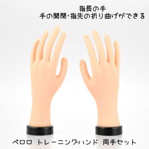 滝川（TAKIGAWA） JNEC認定ハンド用 ネイルチップ 10指 10セット ST