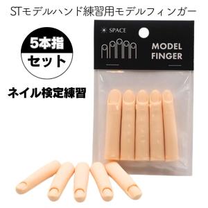 滝川（TAKIGAWA） JNEC認定ハンド用 ネイルチップ＆ルース