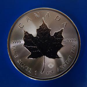 2026年】カンガルー1オンス銀貨 新品未使用 純銀 ケース入り : Gold