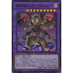 ウルトラマン フュージョンファイト！ フュージョンファイト2弾 UR