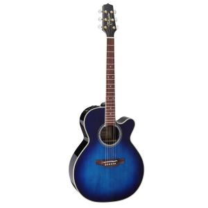 Takamine [※お取り寄せ商品] Takamine DMP551C WR タカミネ エレアコ