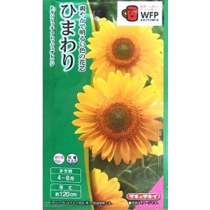 花種 NL300 ひまわり F1 サンリッチ フレッシュ オレンジ 小袋 [FHM515