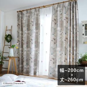 スミノエ 2級遮光カーテン デザインライフ TEKUTEKU KIWI テクテク