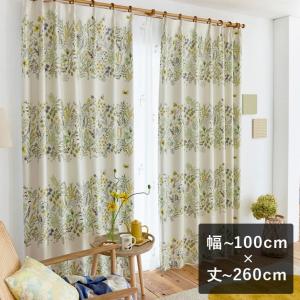 スミノエ 2級遮光カーテン デザインライフ TEKUTEKU KIWI テクテク