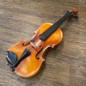 STENTOR Student II 4/4 String Instrument ステンター バイオリン