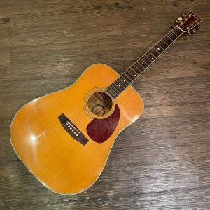 FERNANDES（フェルナンデス） Fernandes W-300 石ロゴ Acoustic Guitar
