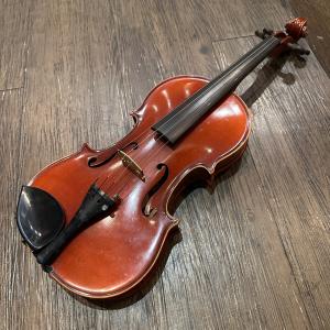 Hallstatt V-12 String Instrument ハルシュタット バイオリン