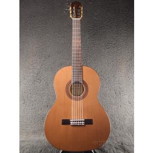 Free The Tone SILKY GROOVE SG-1C【コンプレッサー】《エフェクター