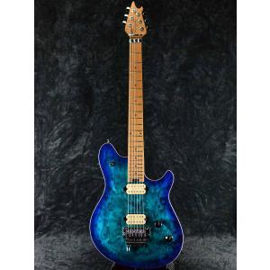 EVH Wolfgang Special -Gloss Black-《エレキギター》 : ギター