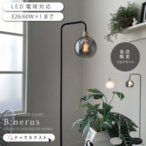 Panasonic（パナソニック） LGB10859 ペンダント LED ランプ別売 本体