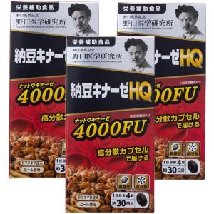 野口医学研究所 納豆キナーゼEX 90粒 3000FU 賞味期限2027.07以降