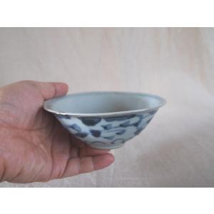 元時代 景徳鎮 青花魚藻文 古染付中皿18cm 15世紀 アジア 古玩 中国