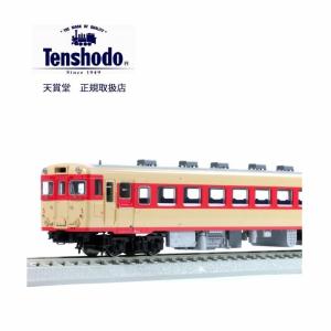 天賞堂（Tenshodo） 56020 キハ17 首都圏色 1/80 16.5mmゲージ動力車