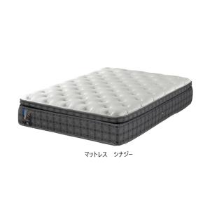 Sealy（シーリー） [開梱設置送料無料/うれしいレビュー特典有