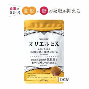 2袋セット 】 ターミナリア ダブル 120粒 協和食研 ［機能性表示食品