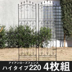 フェンス アイアンフェンス 2枚組 ロータイプ 高さ156cm ガーデン