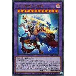 遊戯王オフィシャルカードゲーム デュエルモンスターズ 遊戯王カード