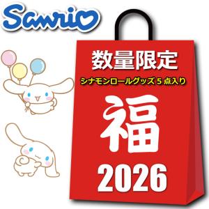 sanrio（サンリオ） ハローキティ グッズ 2026 福袋 レディース キッズ