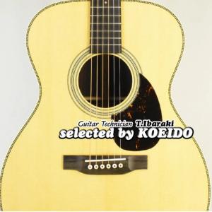 ARIA AF-505 Auditorium Aria Dreadnought 500シリーズ アコ