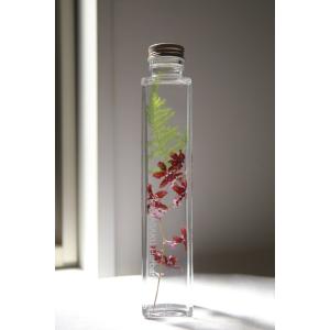 花咲くハーバリウム サラセニア 361 Sarracenia Stevensii : 花郷園