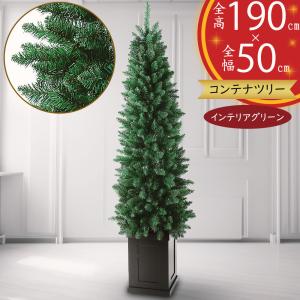 観葉植物 おしゃれ 大型 モミの木 インテリアグリーン もみの木