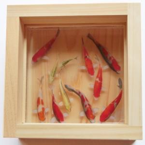 金魚アート インテリア オブジェ アート 桜 プリザーブドフラワー 本物