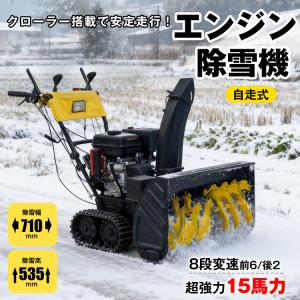 ホンダ（HONDA） 除雪機 家庭用 HSS655c-J1 小型 エンジン式 セル
