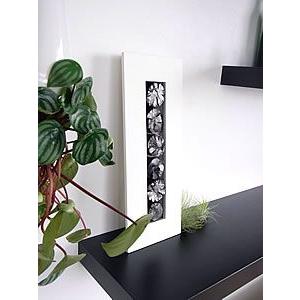 備長炭インテリア おしゃれ 空間 トイレ 玄関 消臭 除湿 カビ対策 風水