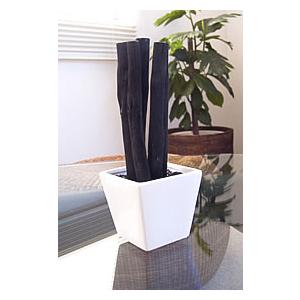 備長炭インテリア おしゃれ 空間 トイレ 玄関 消臭 除湿 カビ対策 風水