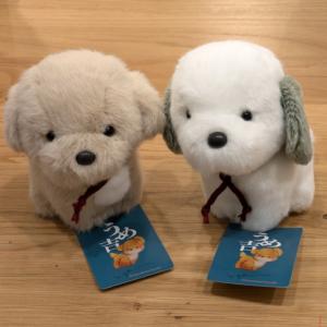 うめ吉 ホワイト M 犬 ぬいぐるみ 日本製 オリエンタルトーイ 2023年新
