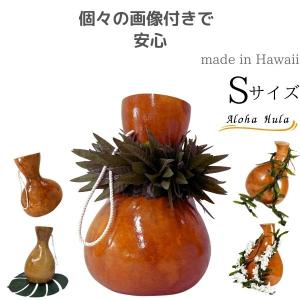 NEW プニウ ココナッツ フラ フラダンス 楽器 打楽器 プーニウ