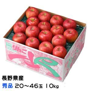 りんご サンふじ 秀品 10〜23玉 5kg 長野県産 信州高山さわやかりんご