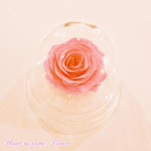 ハートのユメフラワーYahoo!店 - Yahoo!ショッピング