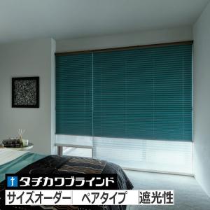 タチカワブラインド プリーツスクリーン ペルレ25 オーダー 「エブリ