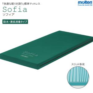 パラマウントベッド（PARAMOUNT BED） (代引き不可・個人宅限定