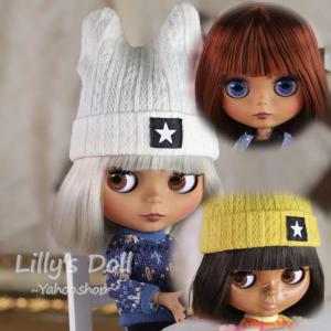 即納 アイシードール 2体 おたのしみBOX ネオサイズ 着せ替え人形 ICY