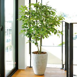 光触媒 観葉植物 フェイクグリーン 人工観葉植物 大型 インテリア