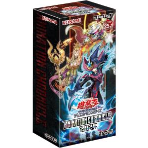 遊戯王オフィシャルカードゲーム デュエルモンスターズ 遊戯王OCG