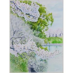 渡辺三絵子 花の水彩画 ジークレー版画(複製画)「春光」額装Mサイズ